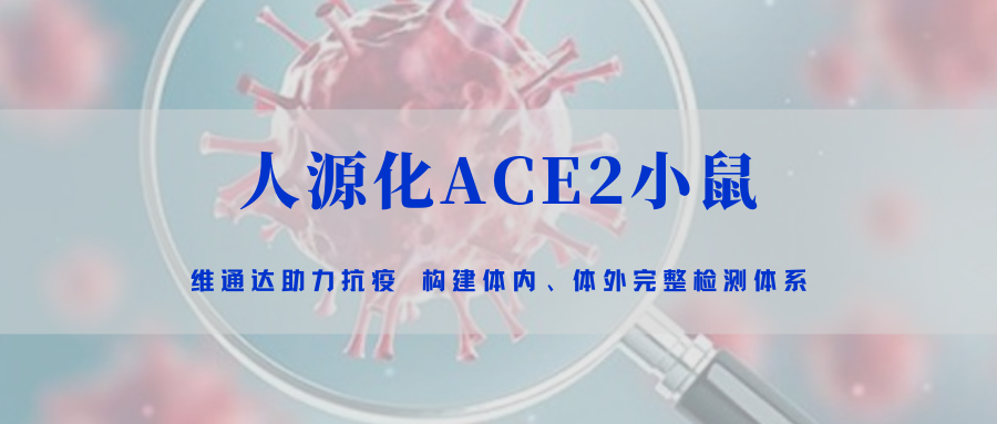 助力抗疫｜天博app下载安装ACE2小鼠模型